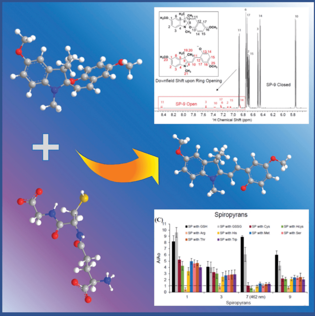 32) Garcia, J; Addison, JB; Liu, SZ; Lu, S; Faulkner, AL; Hodur, BM; Balmond, EI; Or, VW; Yun, JH; Trevino, K; Shen, BW; Shaw, JT; Frank, NL; Louie, AY “Antioxidant Sensing by Spiropyrans: Substituent Edects and NMR Spectroscopic Studies” J. Phys. Chem B. (2019) 123 (31),&nbsp;6799-6809.