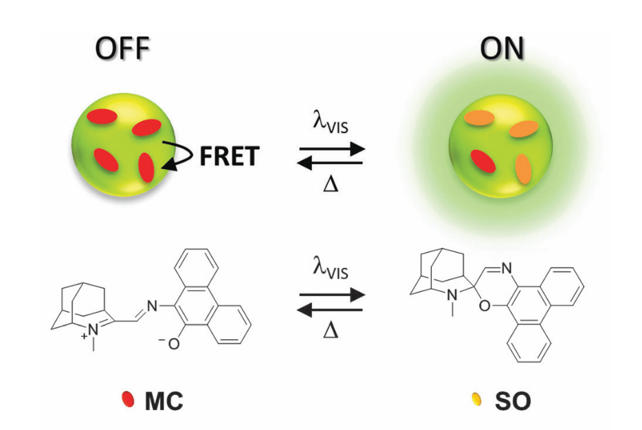 27) Zhang, X. Z.; Chamberlayne, C. F.; Kurimoto, A; Frank, N. L.; Harbron, EJ “Visible light photoswitching of conjugated polymer nanoparticle ouorescence” Chem. Commun. (2016) 52, (22)&nbsp;4144-4147,