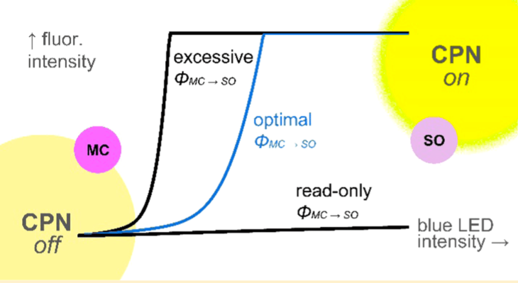 29) Zhang, X.; Kurimoto, A.; Frank, N. L.; Harbron, E. J. “Controlling Photoswitching via pcFRET Conjugated Polymer Nanoparticles” Phys. Chem C. (2018) 122 (39) 22728−22737.  (Featured as ACS Editor’s&nbsp;Choice)